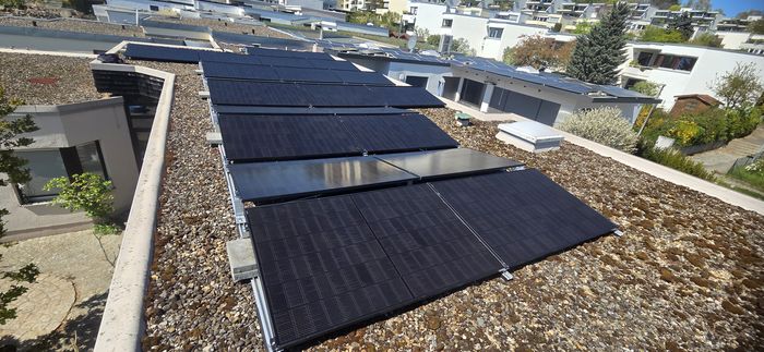 Moderne schwarze Solarmodule auf einem begrünten Flachdach
